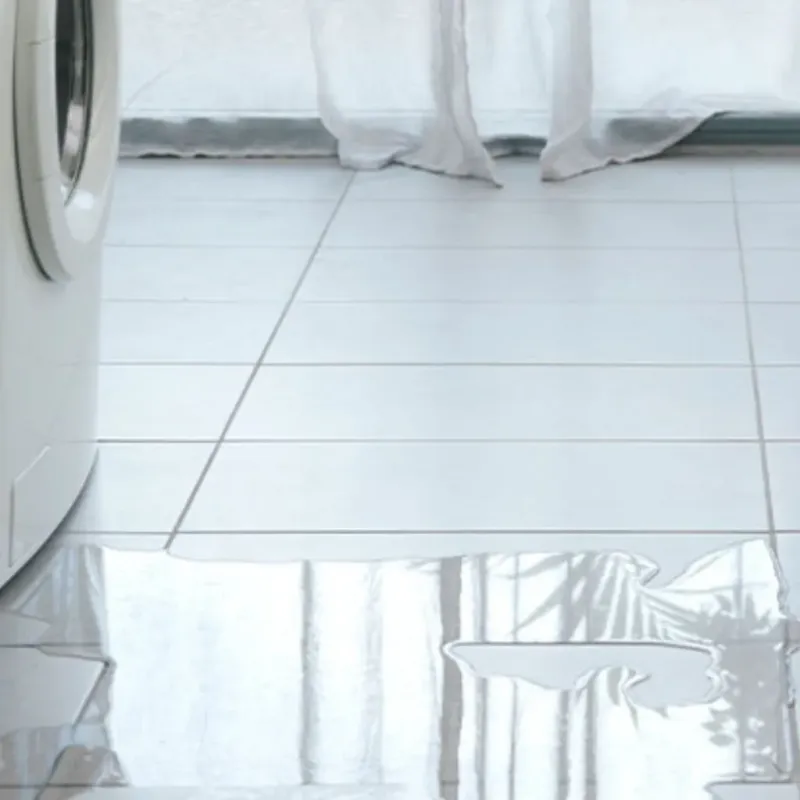 Appliance Leak Cleanup in Weber City, VA