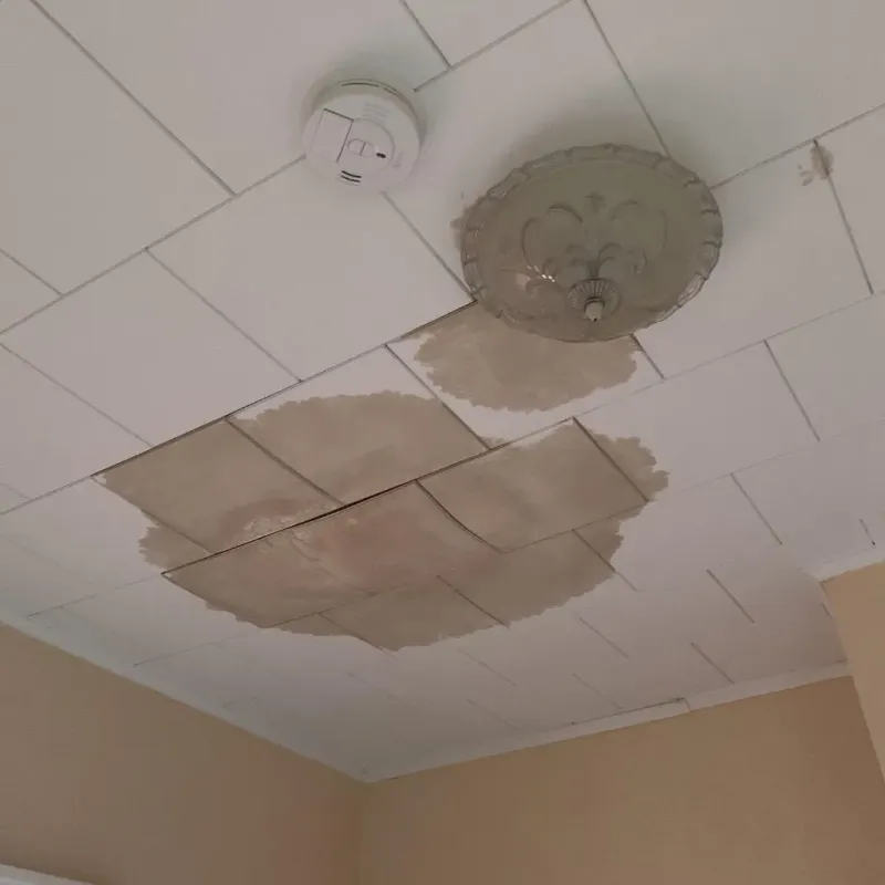 Ceiling Water Damage Repair in Weber City, VA