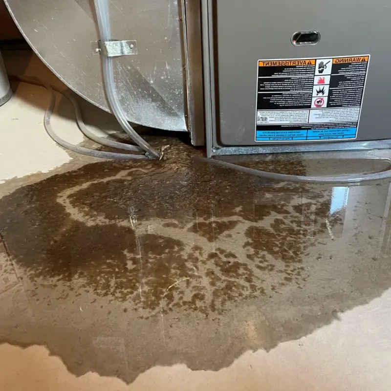 Pipe Burst and Leak Restoration in Weber City, VA