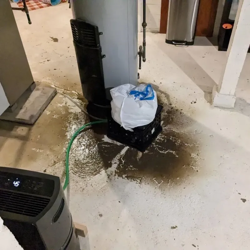 Sewage Backup Cleanup Service in Weber City, VA